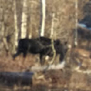 Meet your Posher, Marcela